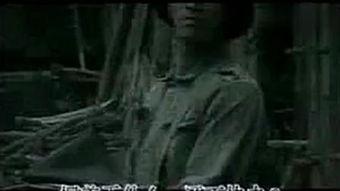 神风神龙电视剧,传奇英雄的荣耀征程