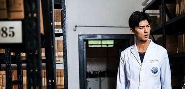 疯人院电视剧,揭开疯狂背后的真相