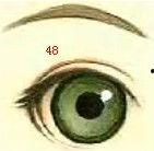 漫画眼睛男100种画法,100种漫画绘制技巧揭秘