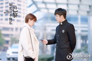 如若巴黎不快乐免费观看电视剧,免费观看的浪漫邂逅