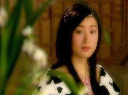 陈法蓉演的电视剧